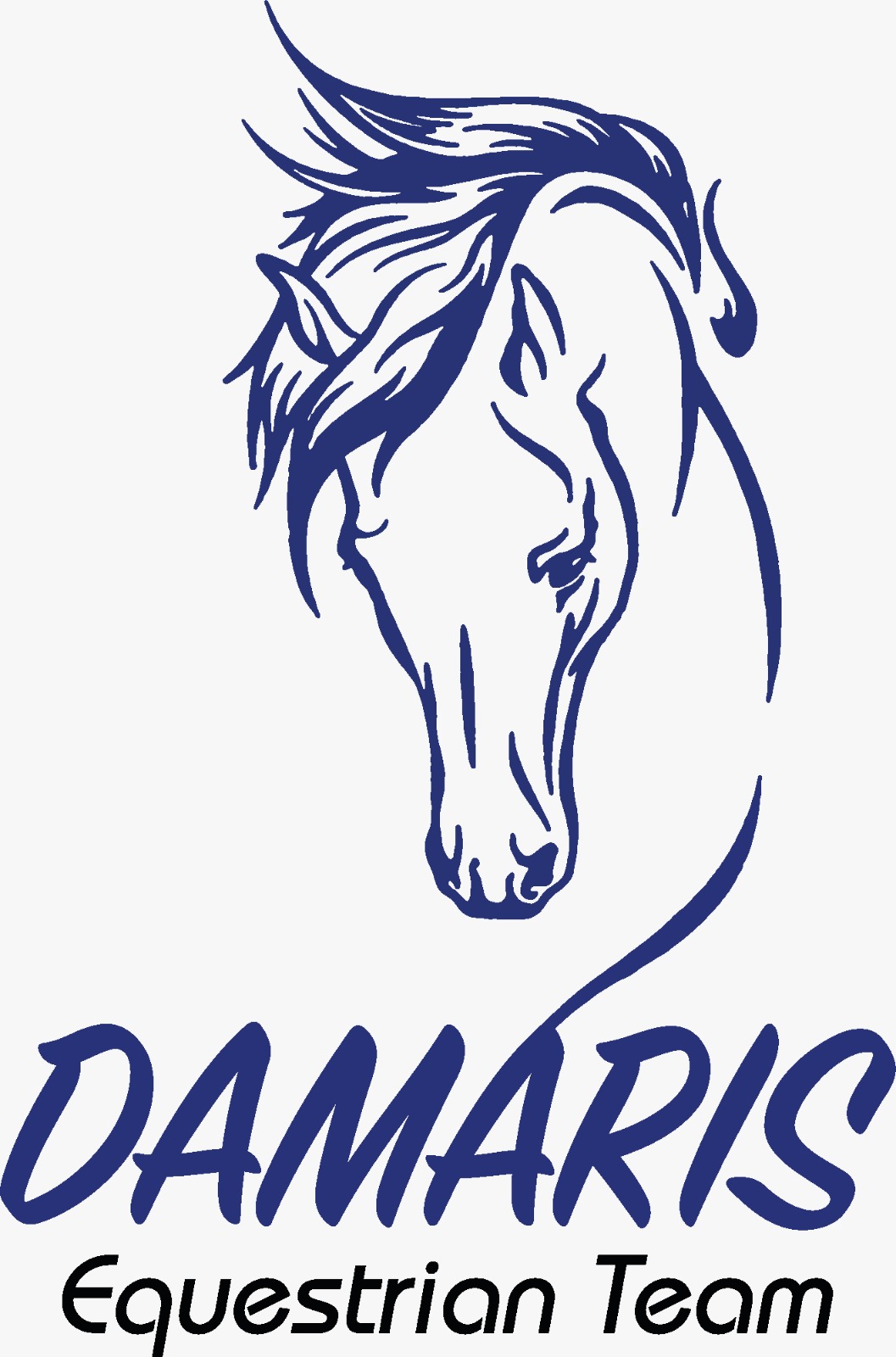 Damaris Equestrian Team